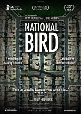 《国鸟》影评：战争阴影下的心灵救赎，2023重制能否带来新生？